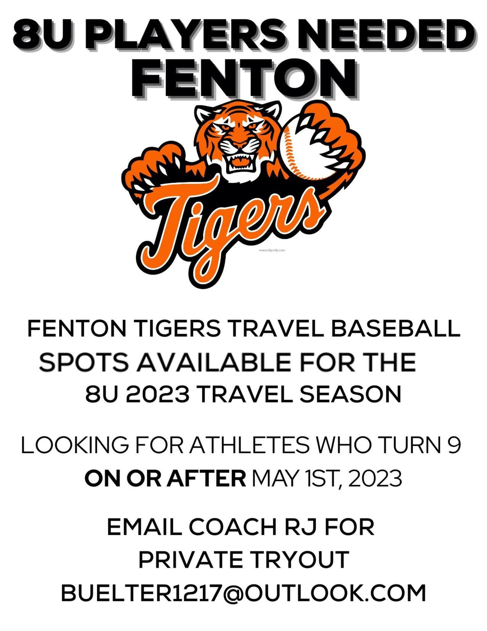 Fenton Tigers 8U Travel Baseball Flyer