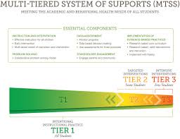 Multi-Tiered System Of Support (MTSS)