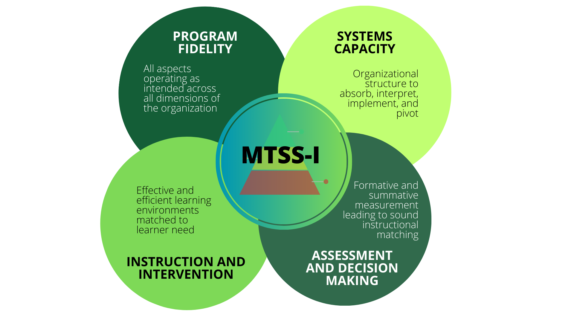 four outer circles with an inner circle describing the MTSS-I process