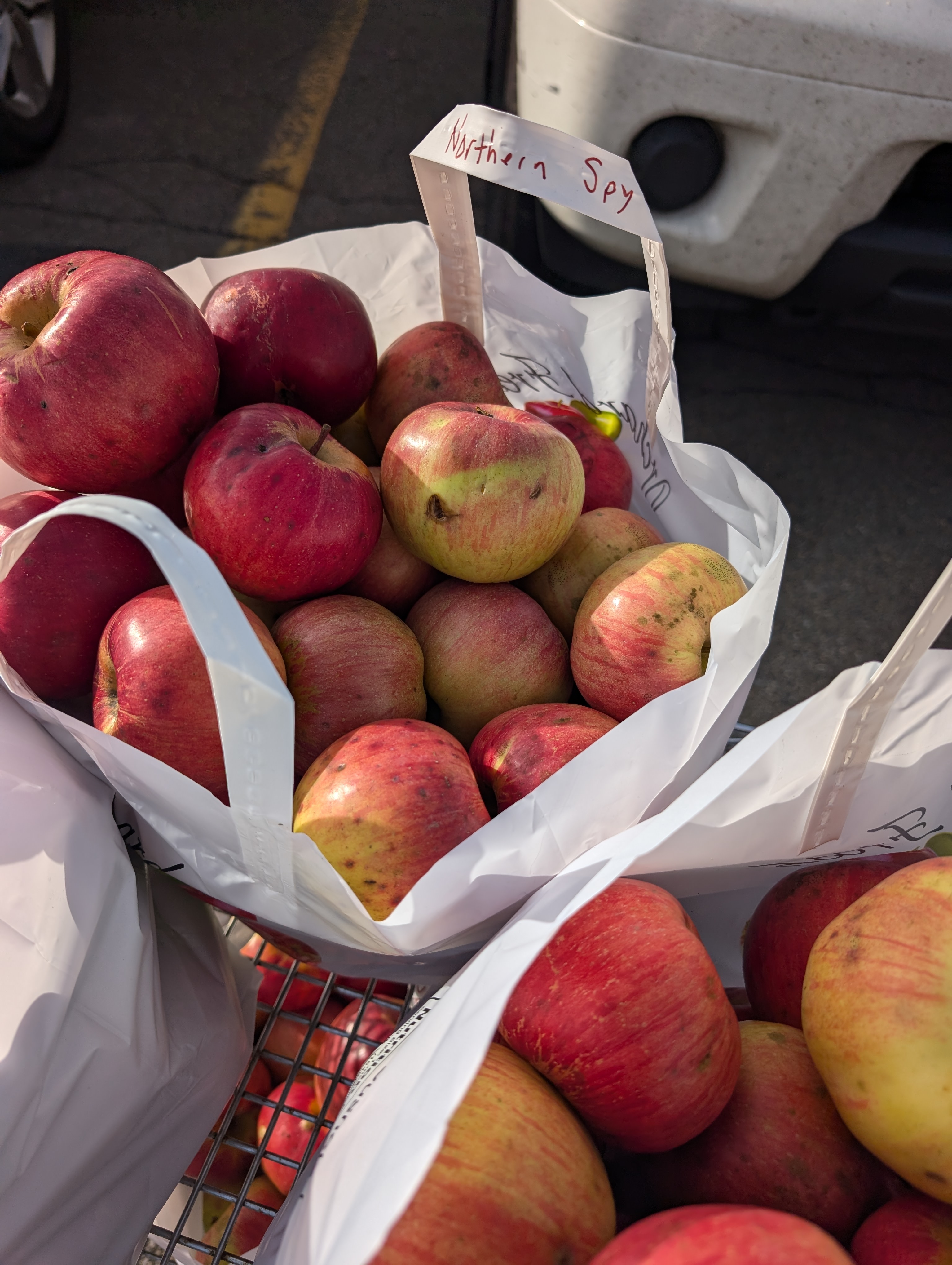 Thanksgiving Apple Crisp was made with Northern Spy Apples from Littletree Orchards 