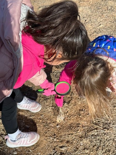 Two children look at a dry plant stem with a magnifying glass