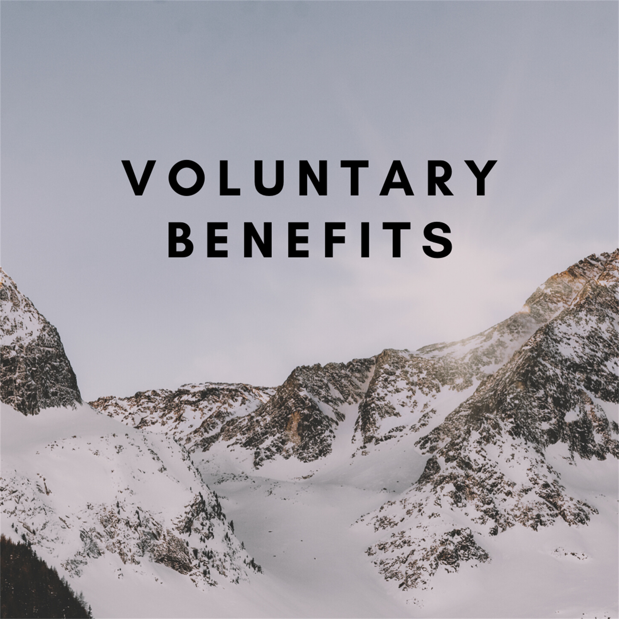 Voluntary Benefits