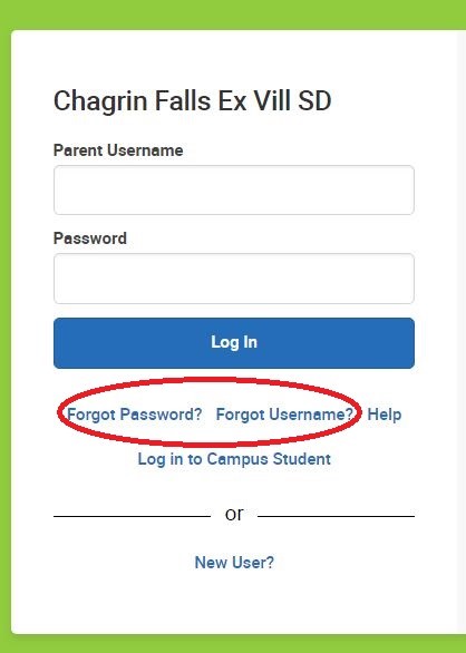 Infinite Campus Information