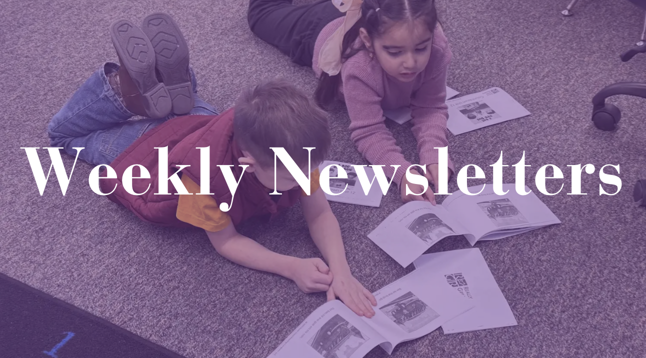 Weekly Newsletter