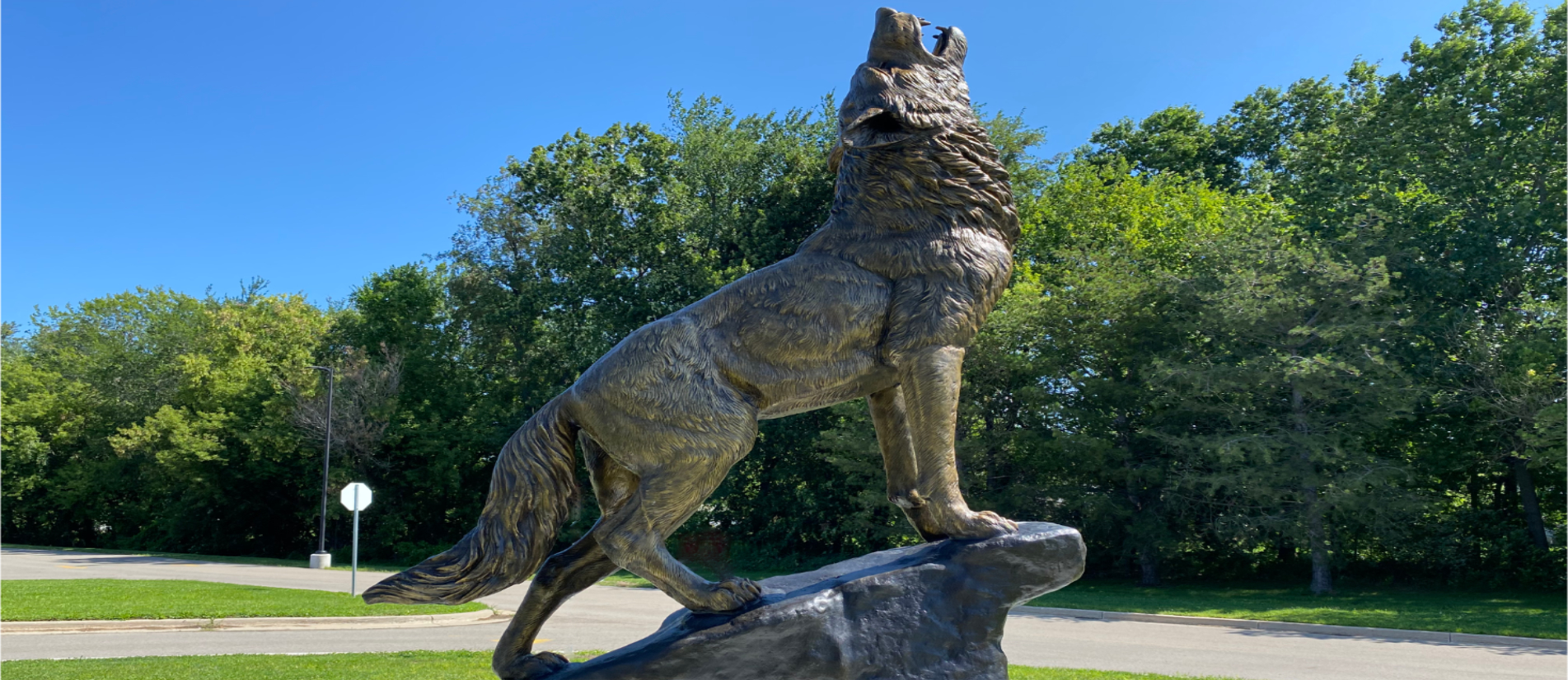 Laingsburg Wolf Statue