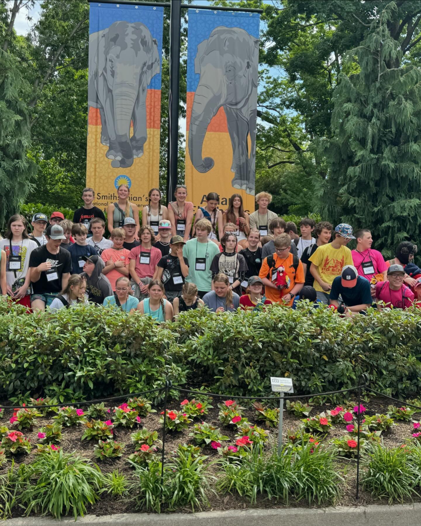DC