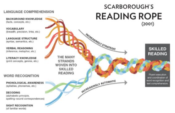 The reading rope