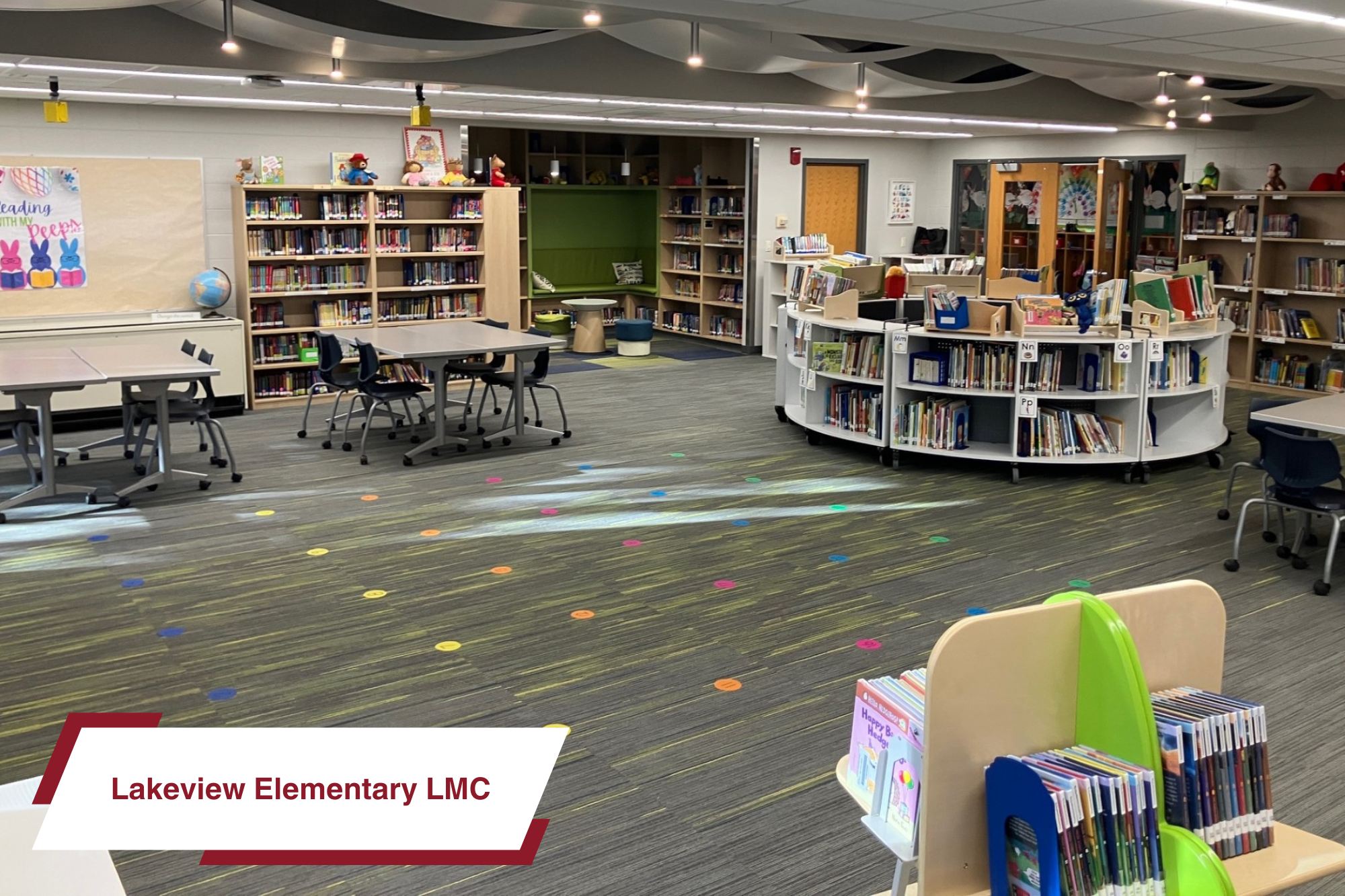 lakeview elementary lmc