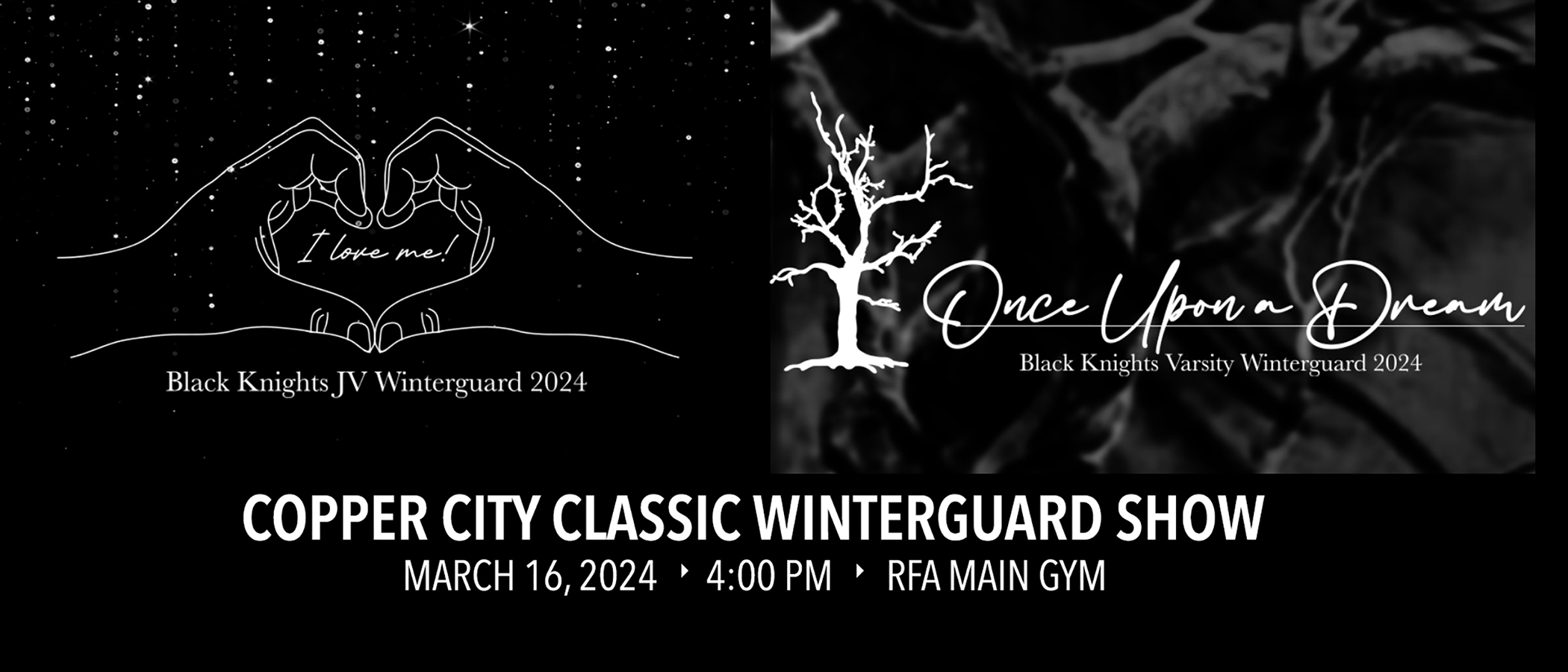 Winterguard Competition