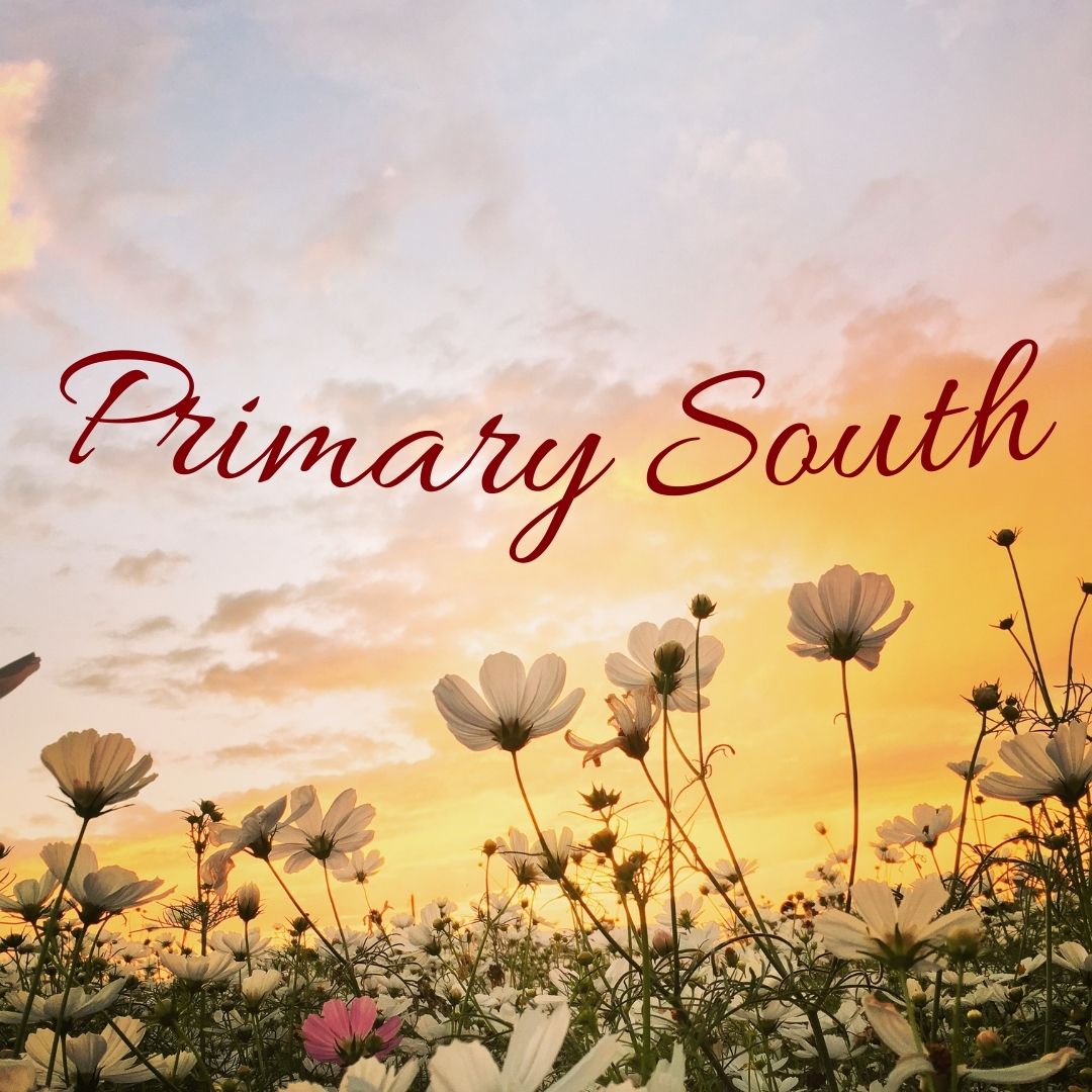 Primary South