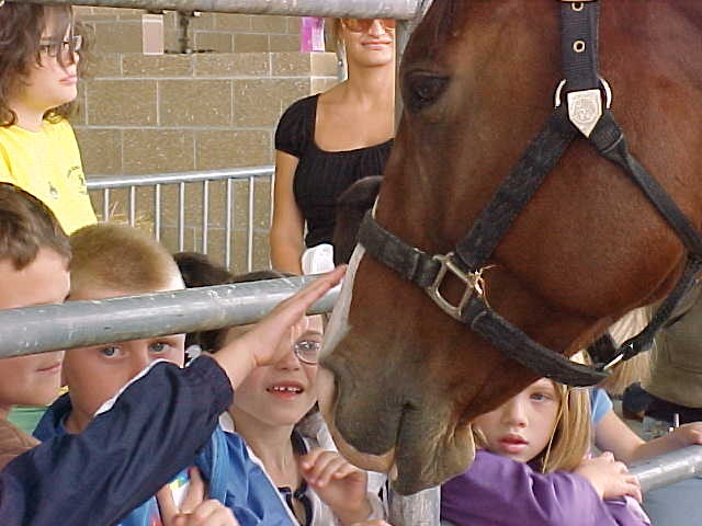 Animal Science Pathway