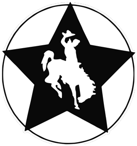 Star Middle School Logo