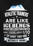 Athletic Trainer Description