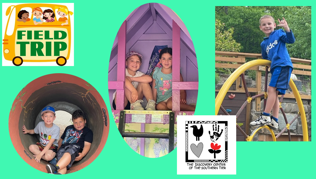 Elementary School Candor Central School District