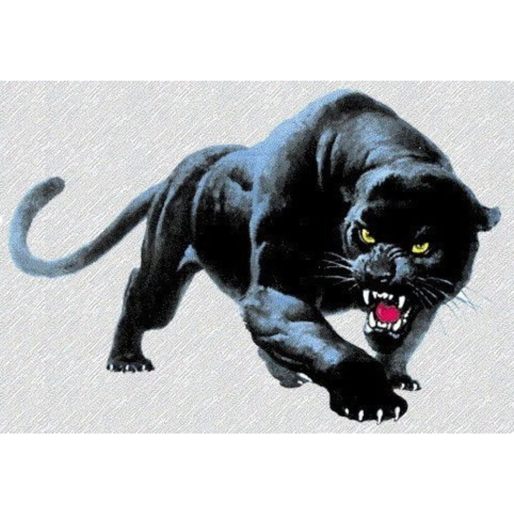 panther