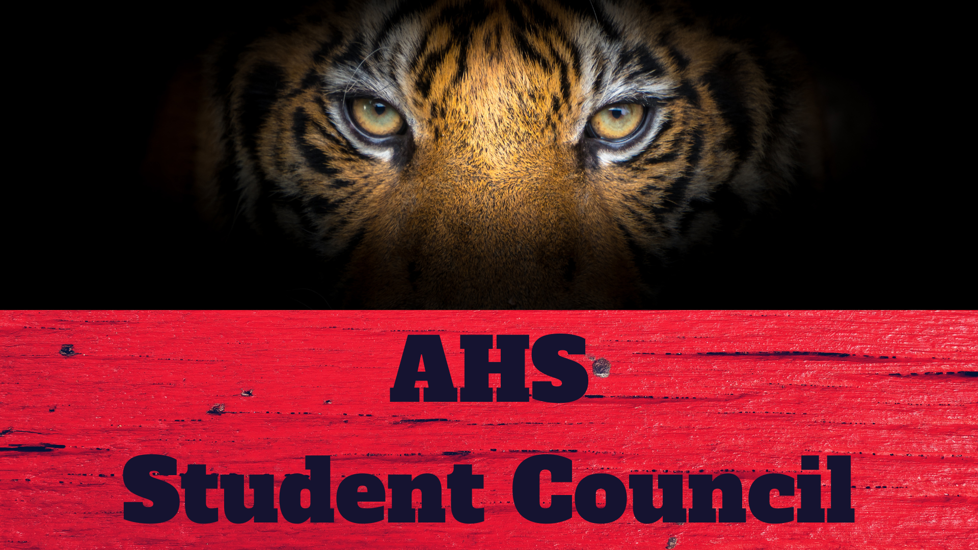 AHS Student Council