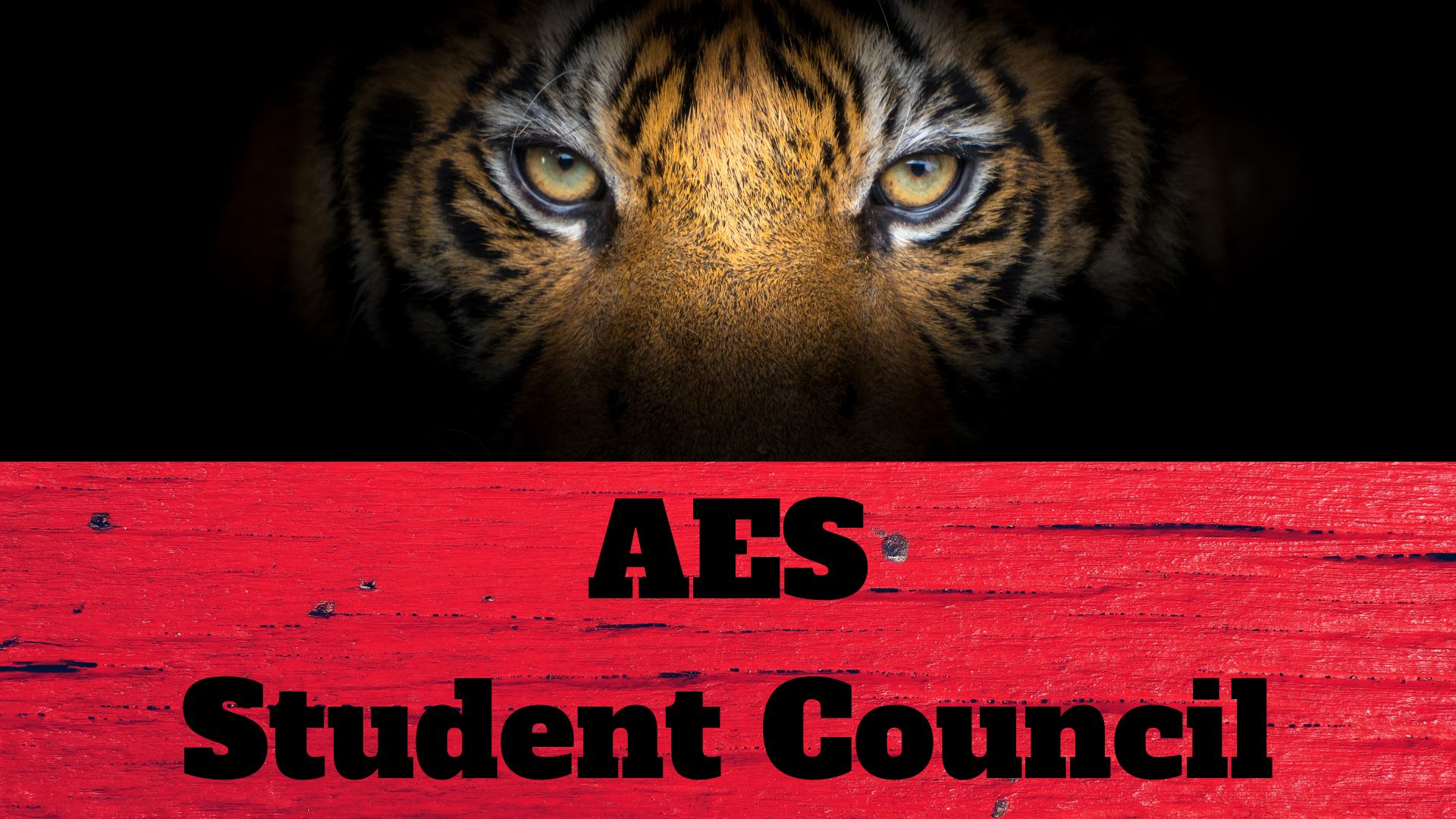 AMS Student Council