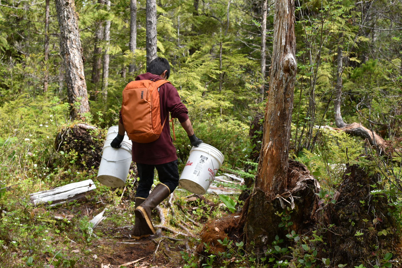 student walking in woods with buckets and a backpack