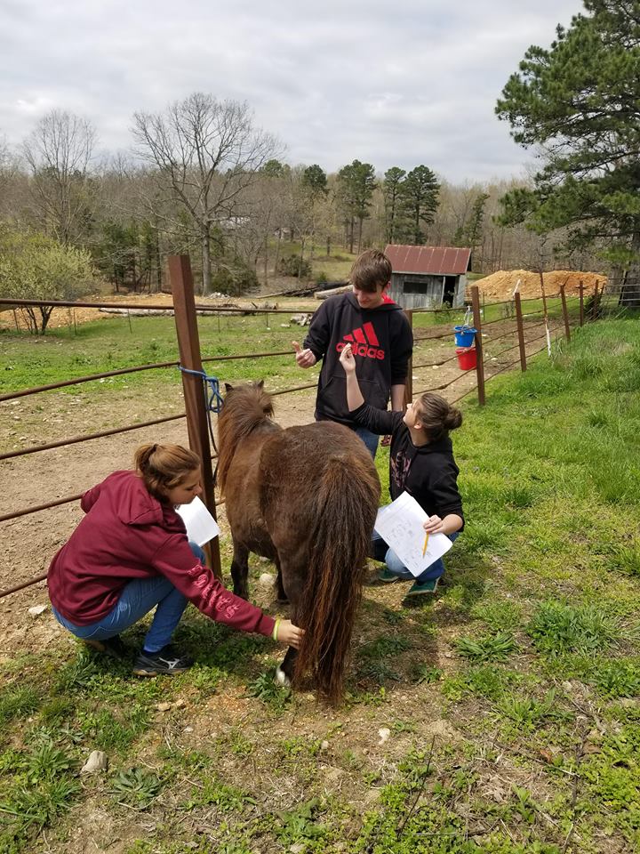 Mrs. Thompson's Animal Science