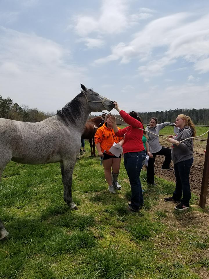 Mrs. Thompson's Animal Science