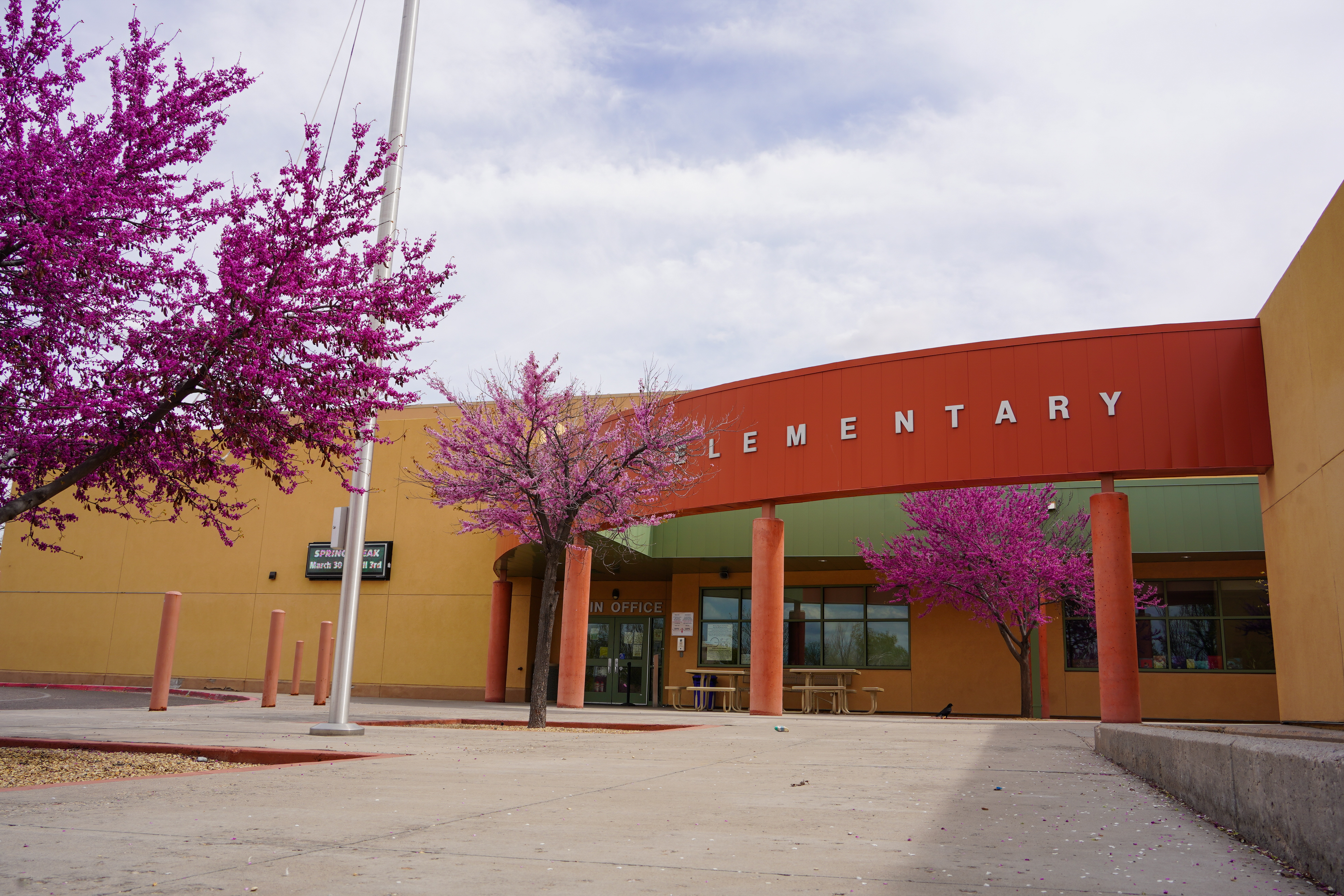 Entrance of an elementary school with a red arch and yellow walls. Two flowering trees and a cloudy sky.