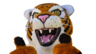 Tiger mascot