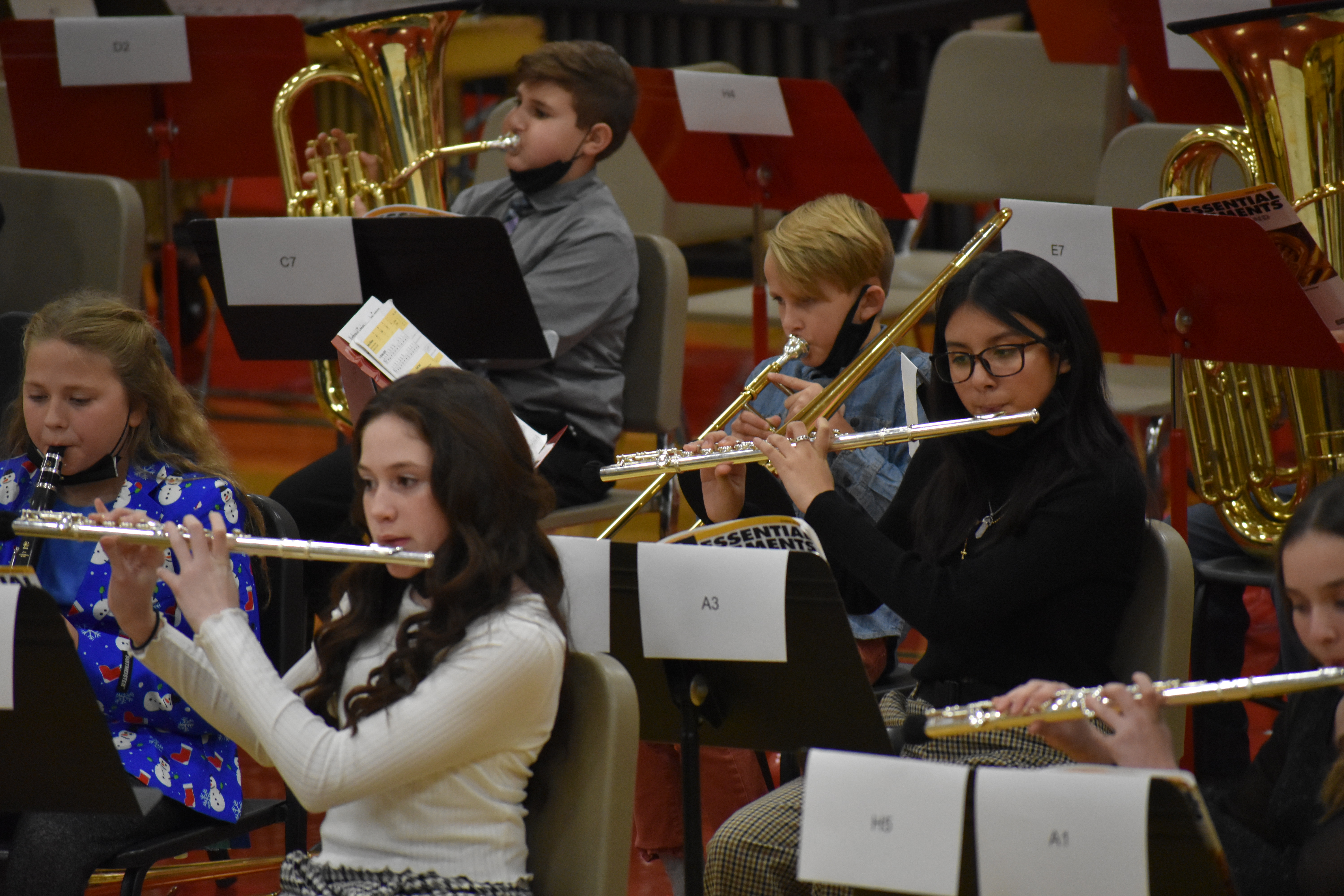 Band members playing during a concert - flutes in the foreground