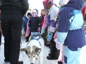 Snow Daze is often held in February. It's usually really cold and sometimes really sunny. Many super volunteers give of their time so all students in grades K-8 can enjoy many outdoor and indoor activities along with some yummy treats. Enjoy the Snow Daze photo galleries below.