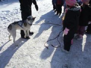 Snow Daze is often held in February. It's usually really cold and sometimes really sunny. Many super volunteers give of their time so all students in grades K-8 can enjoy many outdoor and indoor activities along with some yummy treats. Enjoy the Snow Daze photo galleries below.