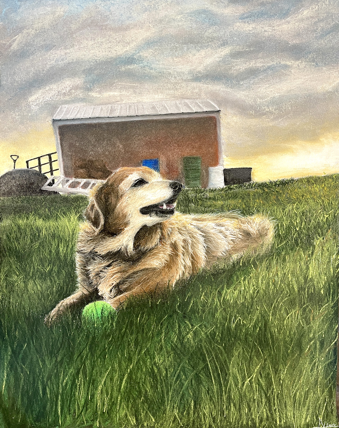 A shaggy brown, tan and white dog lies on the green grass in front of a shed-like building, a tennis ball by his paws.
