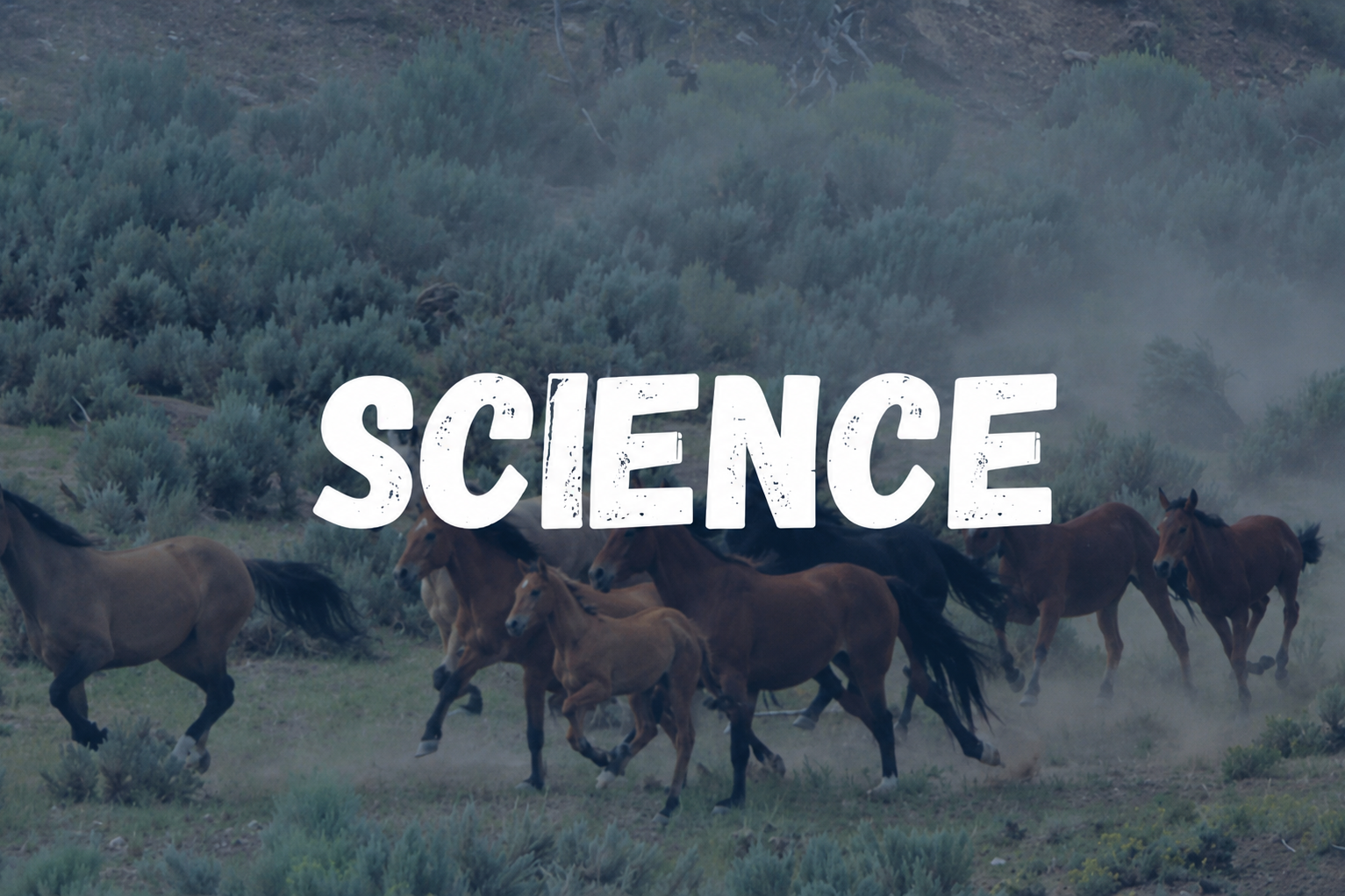 Science