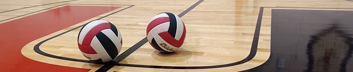 Adult Open Gym Volleyball