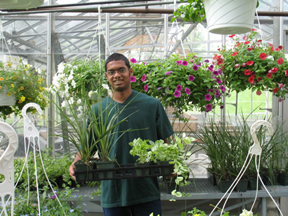 A student prepares for the annual spring plant sale in the class greenhouse.  
