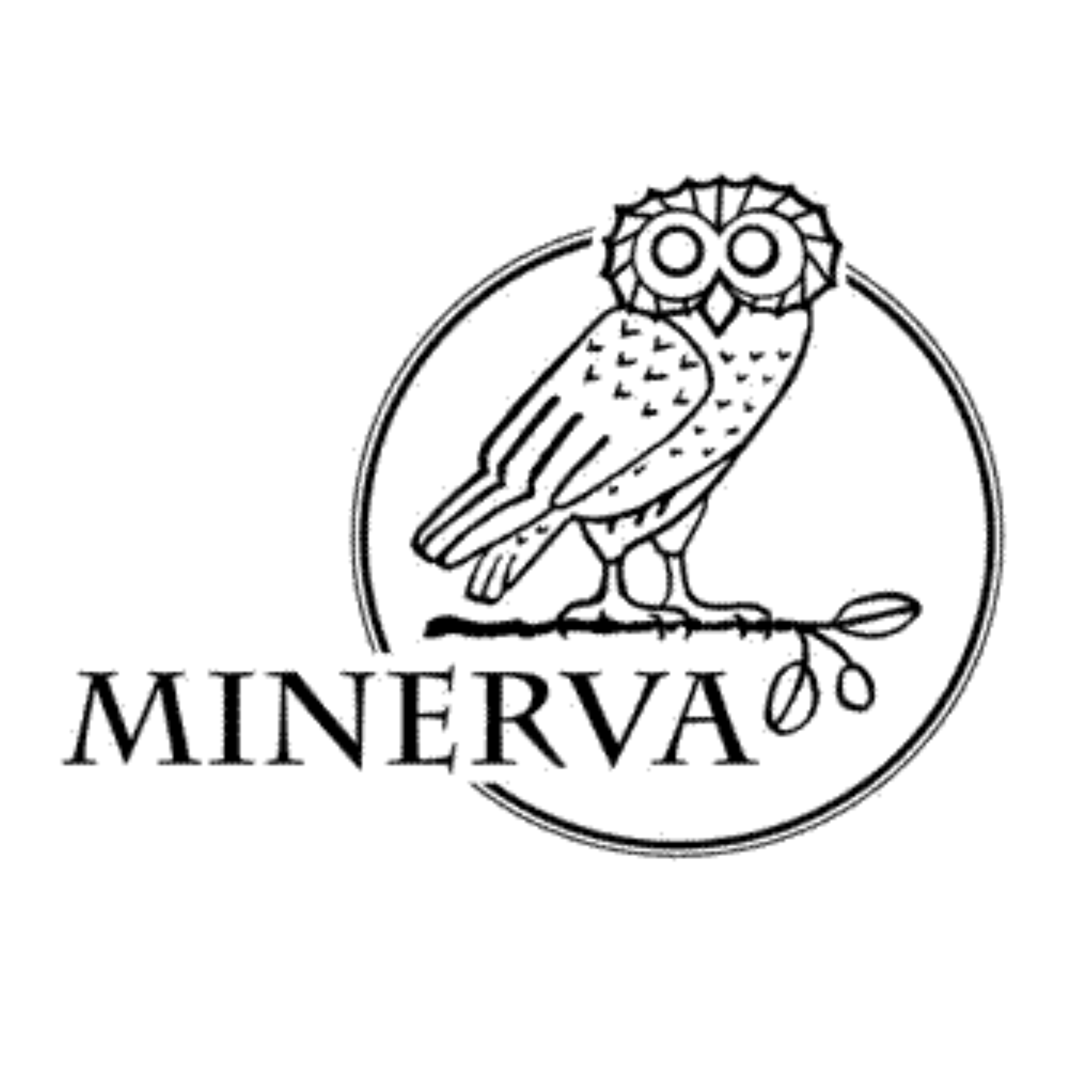 Library & Research North Haven Community School