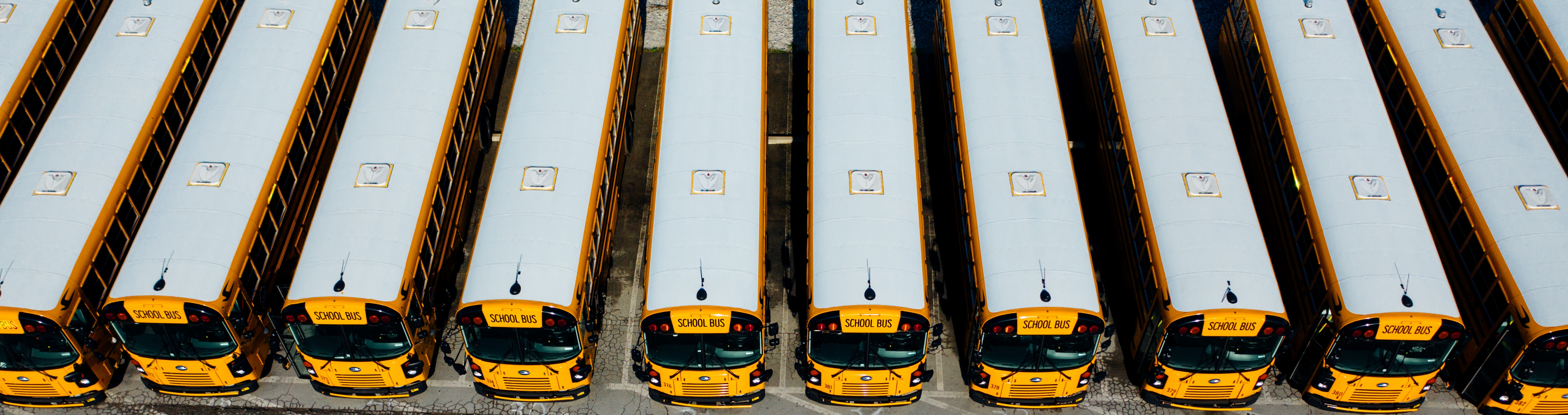School buses parked