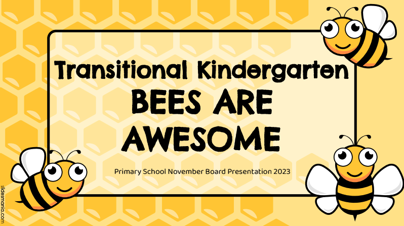 Valley Center Primary Curriculum Report