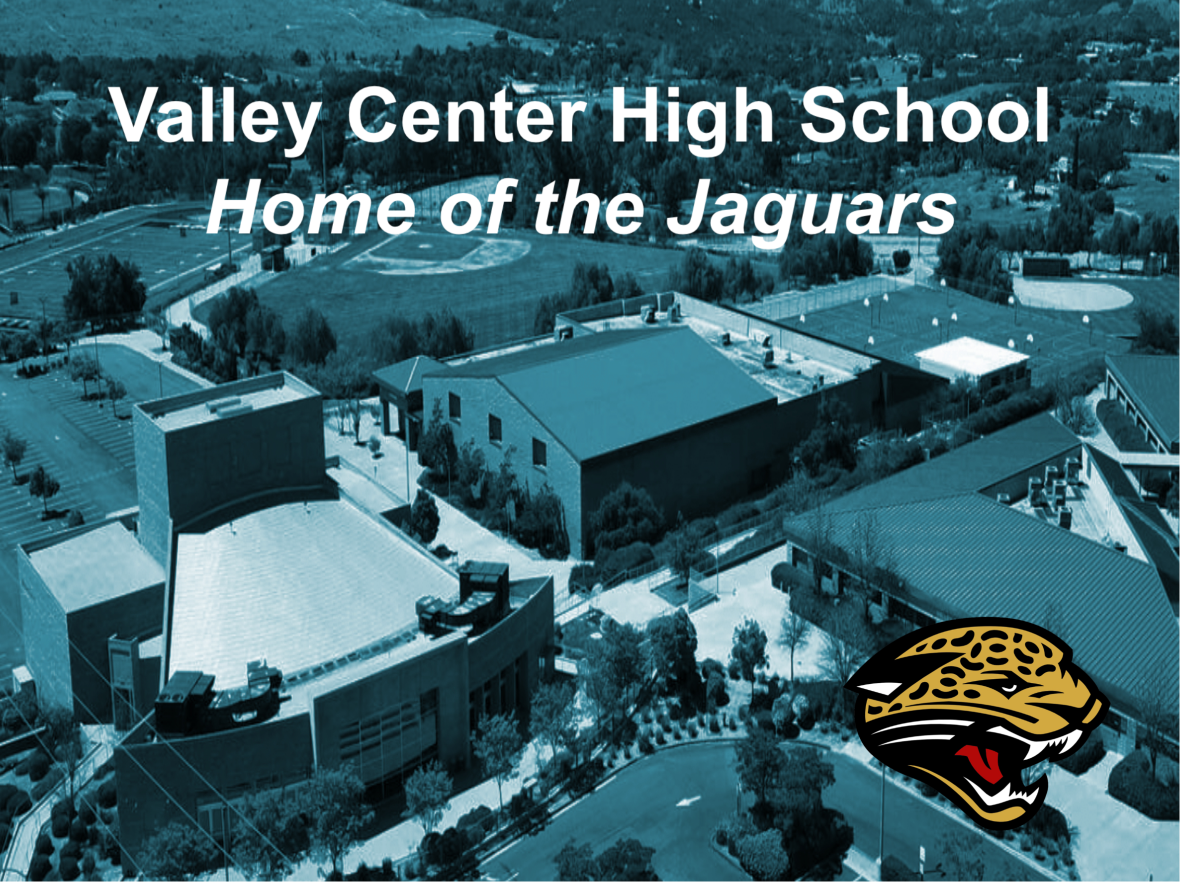 VCHS Report