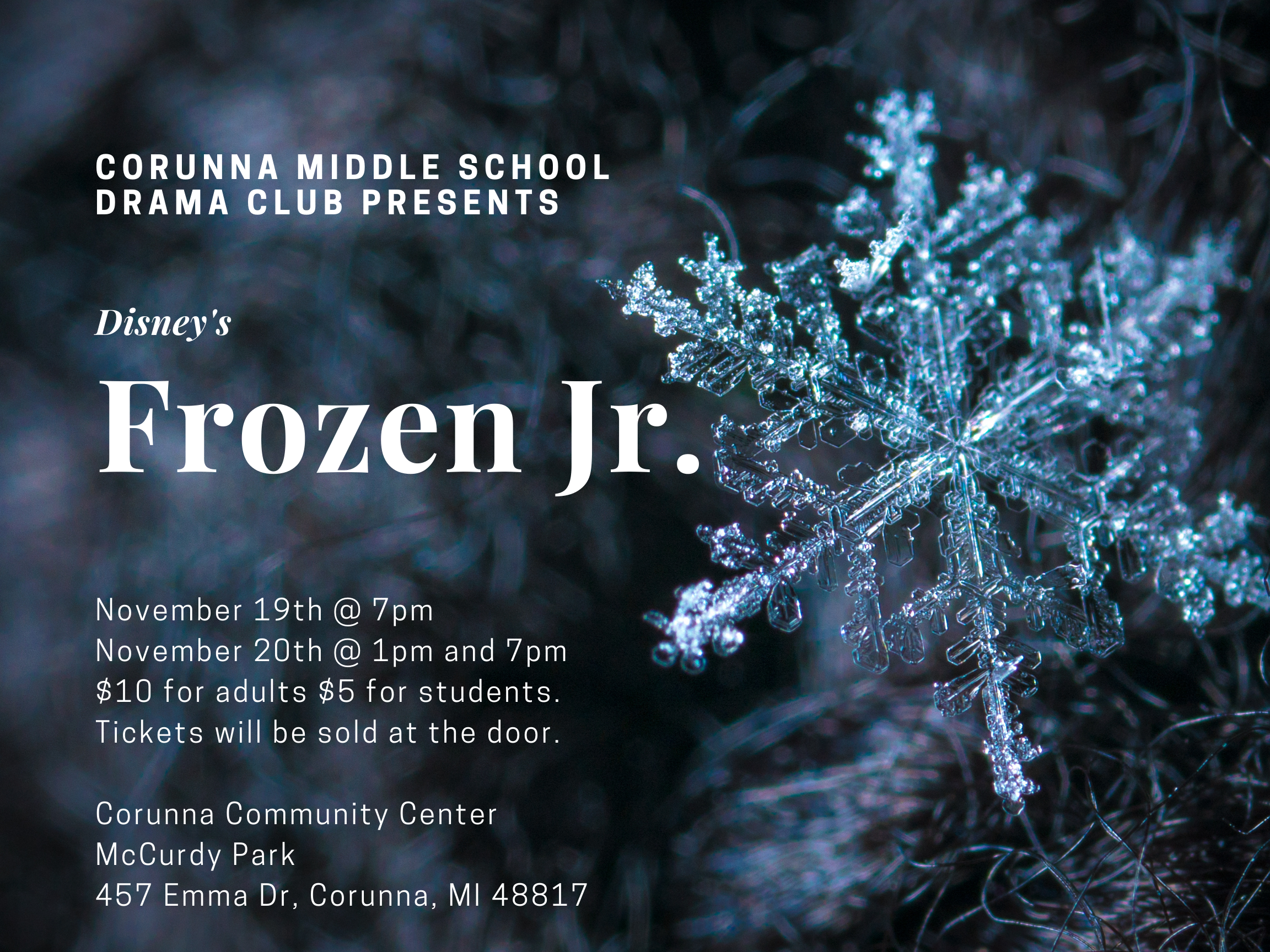 frozen jr poster