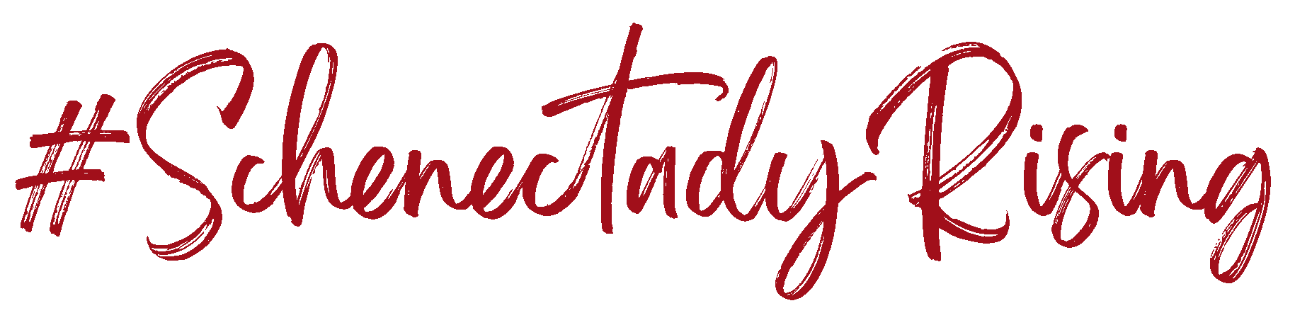 #SchenectadyRising logo