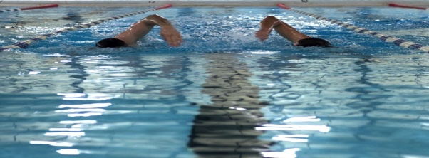 Photo of swimmers