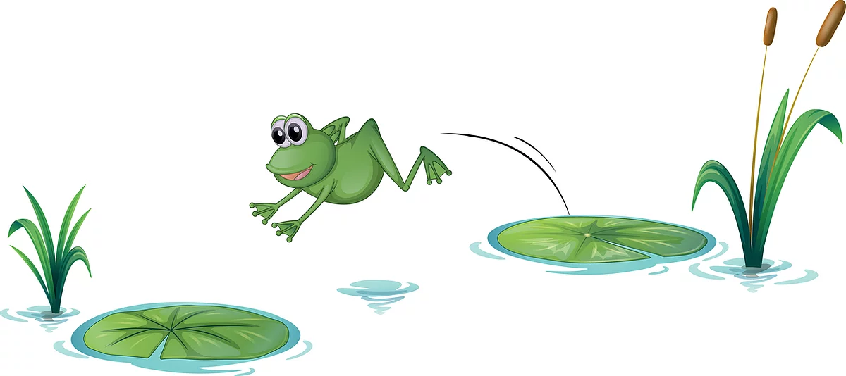 frog