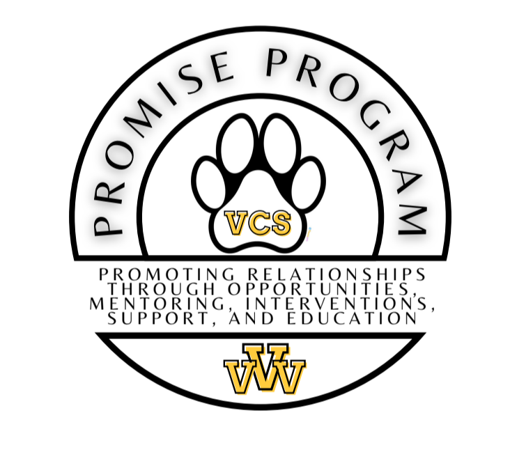 On a black background, gold text reading: Promoting Relationships through mentoring, interventions, support, education, opportunities.