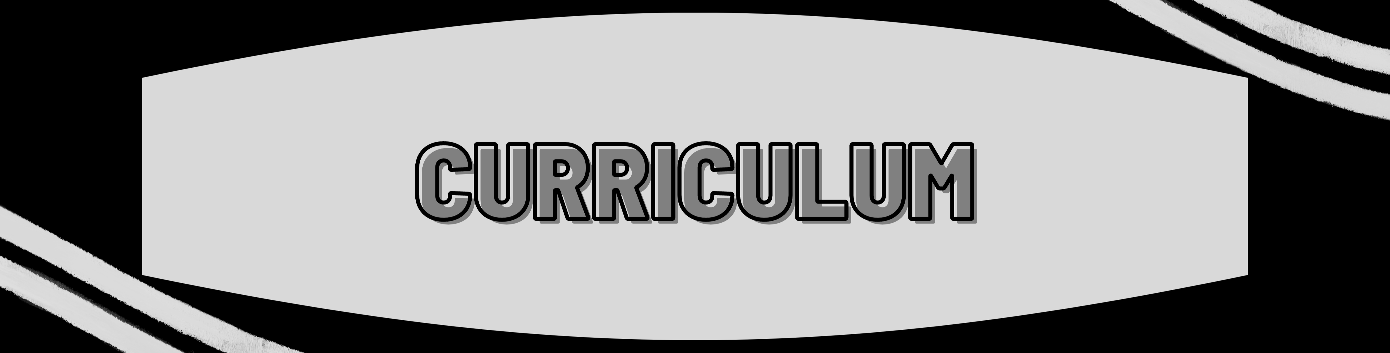 CURRICULUM