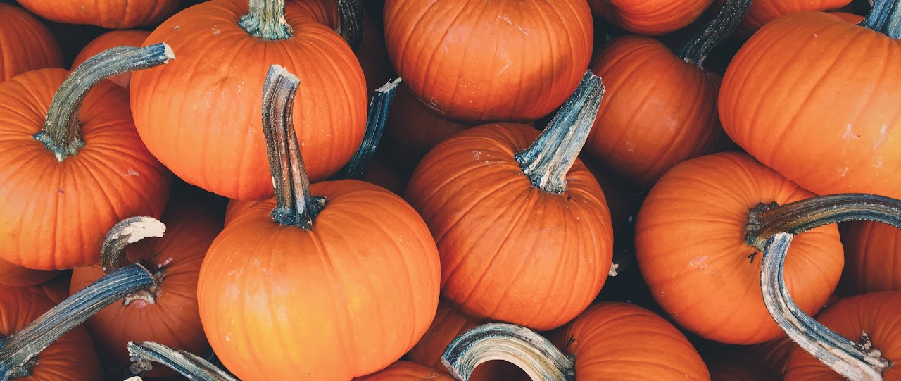 pumpkins