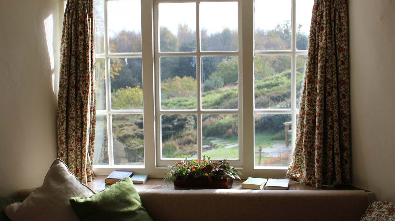 window