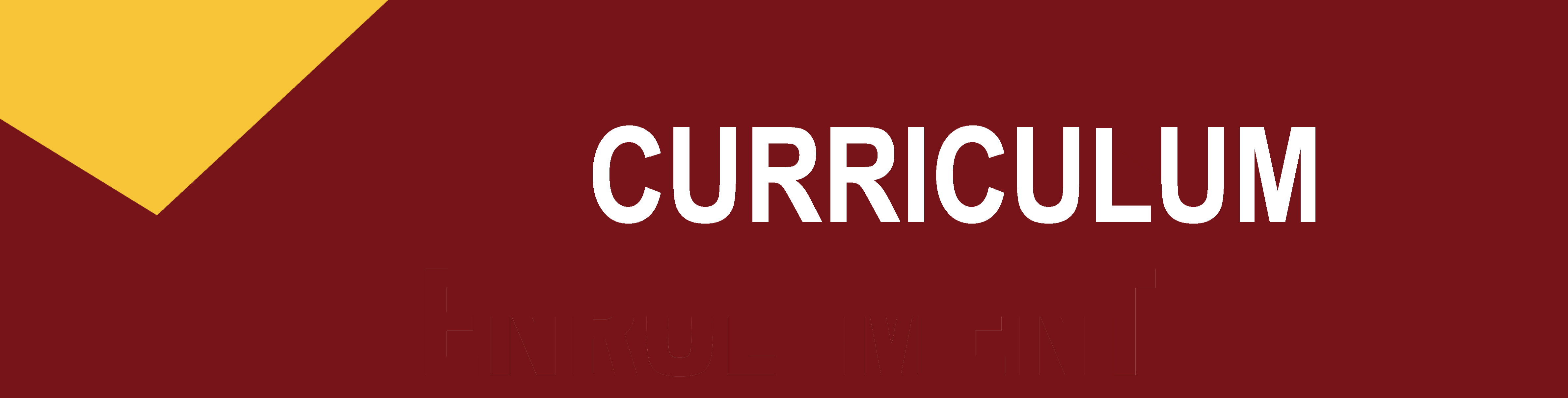 CURRICULUM