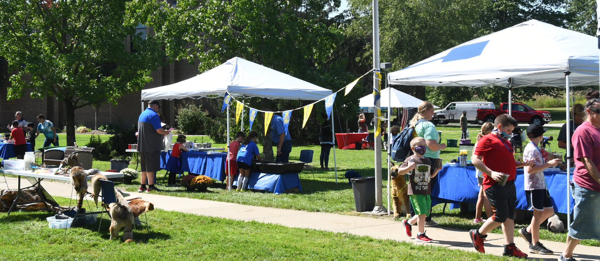 STEAM University 2021