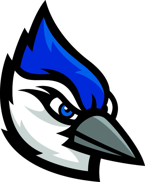 BlueJay Mascot Logo