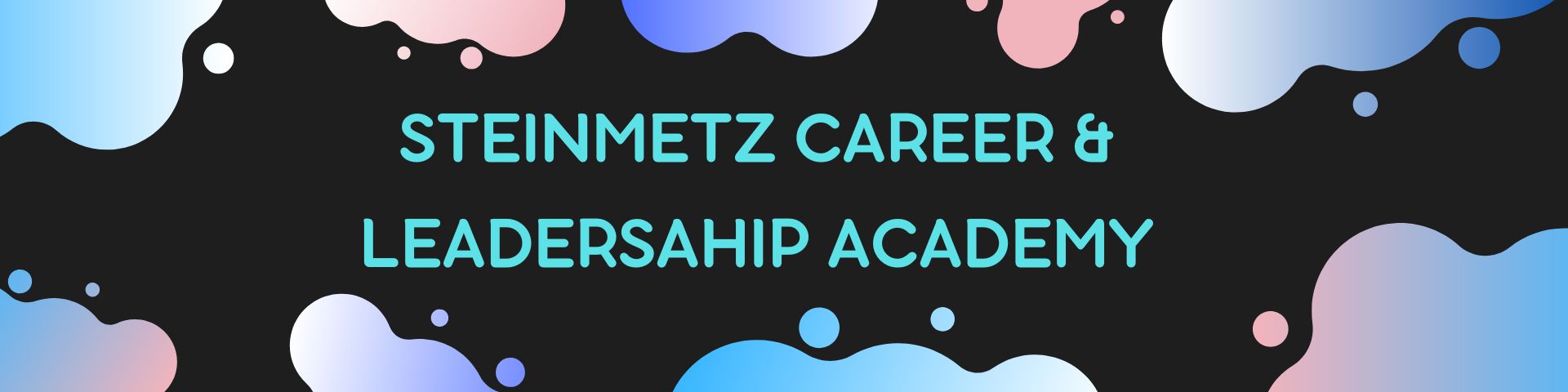 Steinmetz Career and Leadership Academy