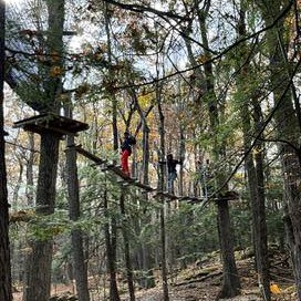 Students walk the plank on a high ropes course